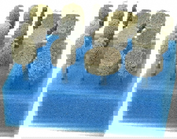 13 Piece Aluminum Oxide Silicon Carbide Unitized Abrasive Point Set